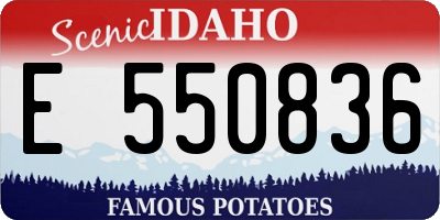 ID license plate E550836