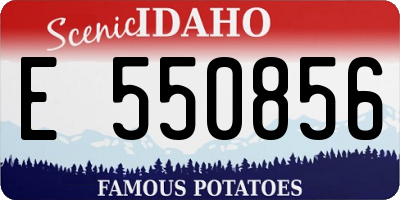 ID license plate E550856