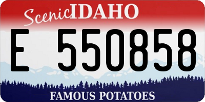 ID license plate E550858