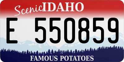 ID license plate E550859