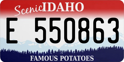 ID license plate E550863