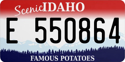 ID license plate E550864