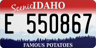 ID license plate E550867