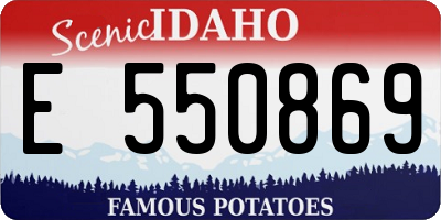 ID license plate E550869