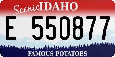 ID license plate E550877