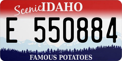 ID license plate E550884