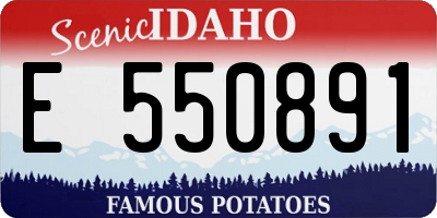 ID license plate E550891