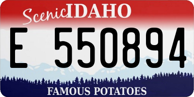 ID license plate E550894