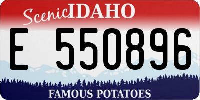 ID license plate E550896