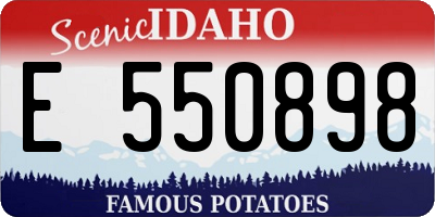 ID license plate E550898