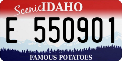 ID license plate E550901