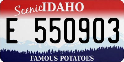 ID license plate E550903