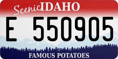 ID license plate E550905