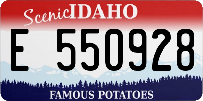 ID license plate E550928