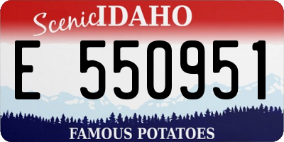 ID license plate E550951
