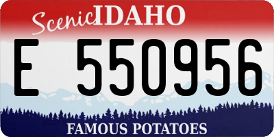 ID license plate E550956