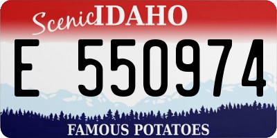 ID license plate E550974