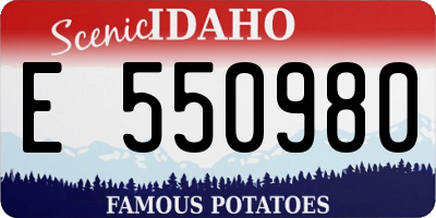 ID license plate E550980