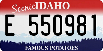 ID license plate E550981