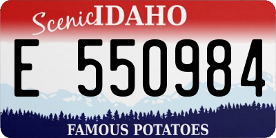 ID license plate E550984