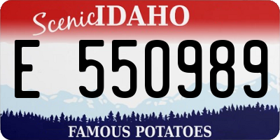 ID license plate E550989