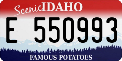 ID license plate E550993