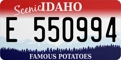 ID license plate E550994