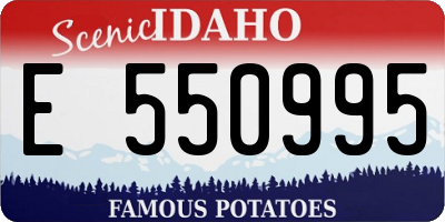 ID license plate E550995