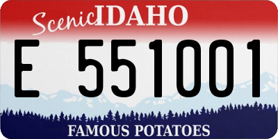 ID license plate E551001