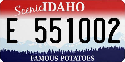 ID license plate E551002