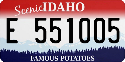 ID license plate E551005