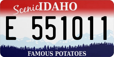ID license plate E551011