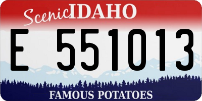 ID license plate E551013