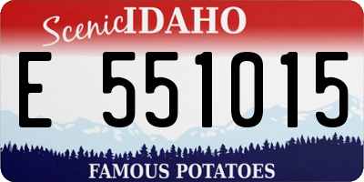ID license plate E551015