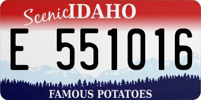 ID license plate E551016