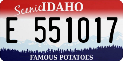 ID license plate E551017