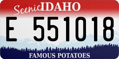 ID license plate E551018