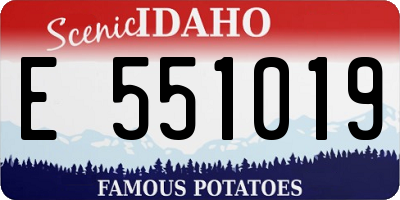 ID license plate E551019
