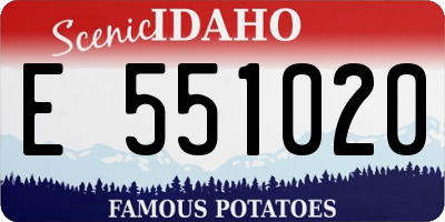 ID license plate E551020