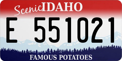 ID license plate E551021