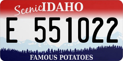 ID license plate E551022