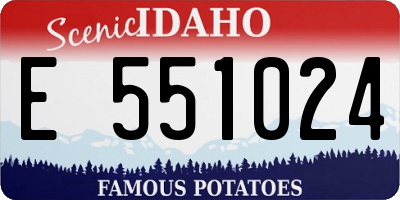 ID license plate E551024