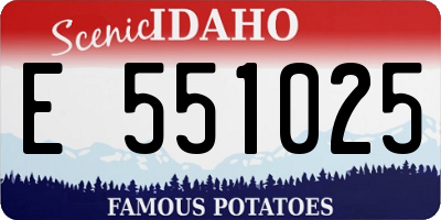 ID license plate E551025