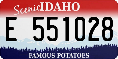 ID license plate E551028