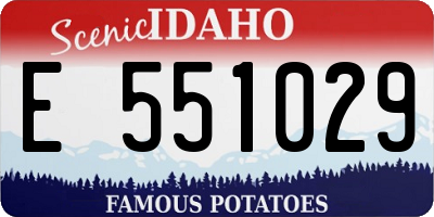 ID license plate E551029