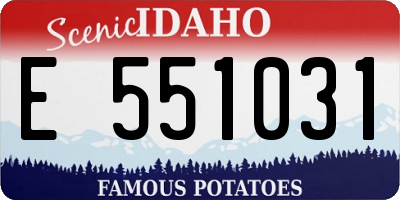 ID license plate E551031