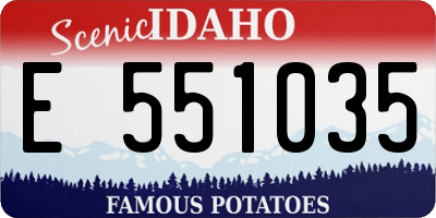 ID license plate E551035