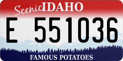 ID license plate E551036