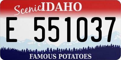 ID license plate E551037