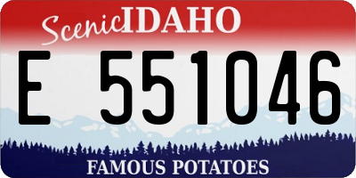 ID license plate E551046